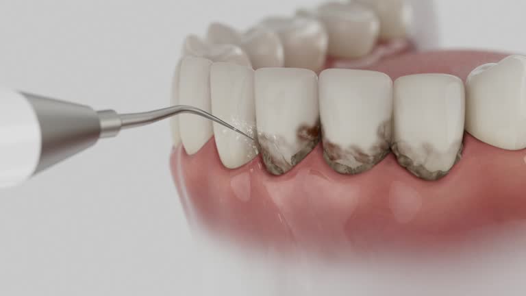 Reliable Dental contractor in Elizabeth, CO by Dentist Open Now
